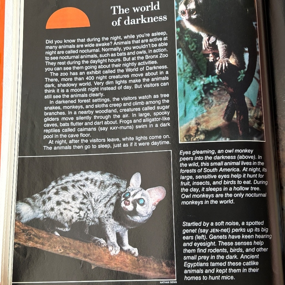 Animal Book Bundle - Picture 9 of 12